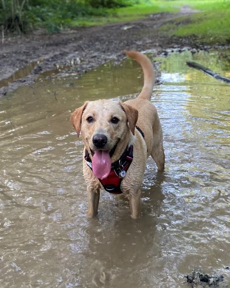 Alan in puddle 2.jpg